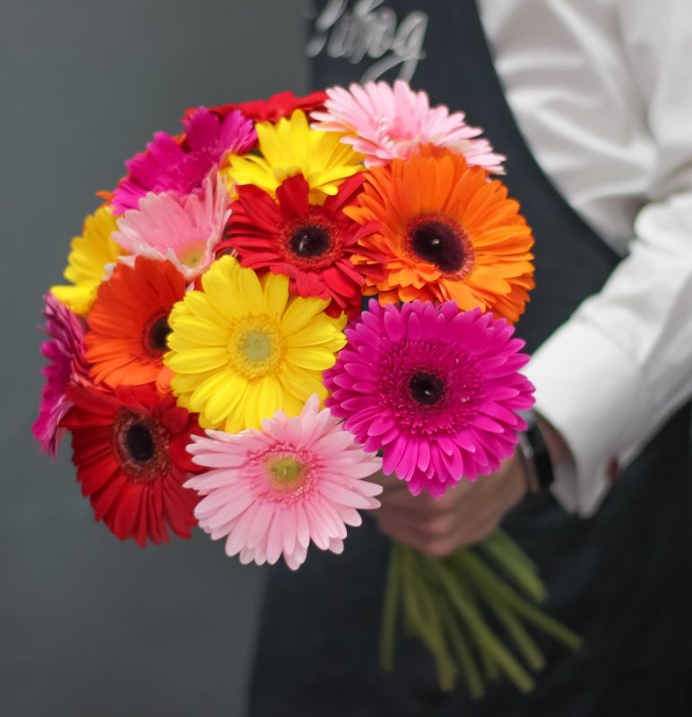 Orange Gerbera Daisies (Variety: Orange Glow)
