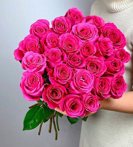 Pink Roses (Variety: Pink Floyd)