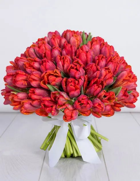 Red Tulips (Variety: Red Impression)